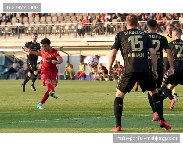 战术板动态:美因茨赛前训练重点演练中场三角区域的小范围快速传递转换